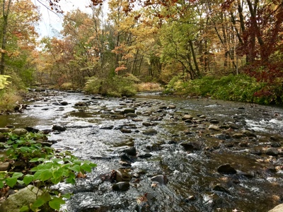 Burbling brook Mill River