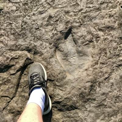 200 million year old dino prints