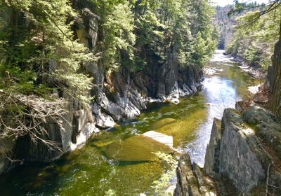 Chesterfield Gorge green