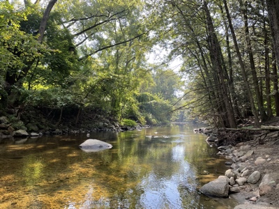 Mill River doldrums