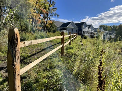 Fence perspective