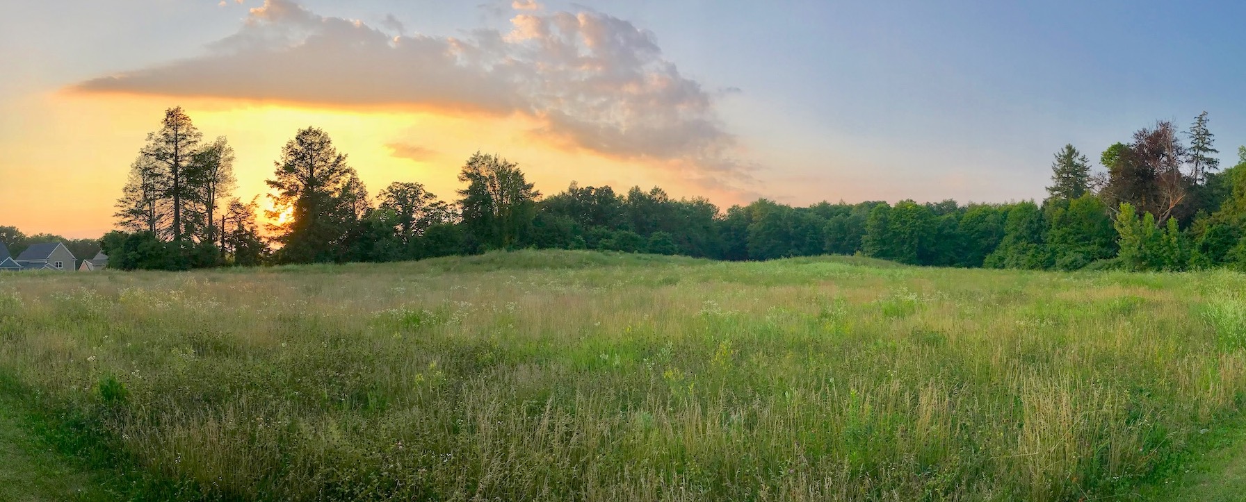 Former state hospital site, now meadow