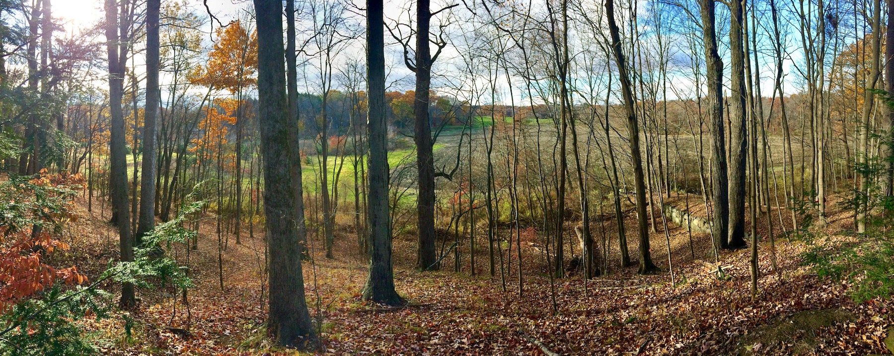 view from Village Hill looking west